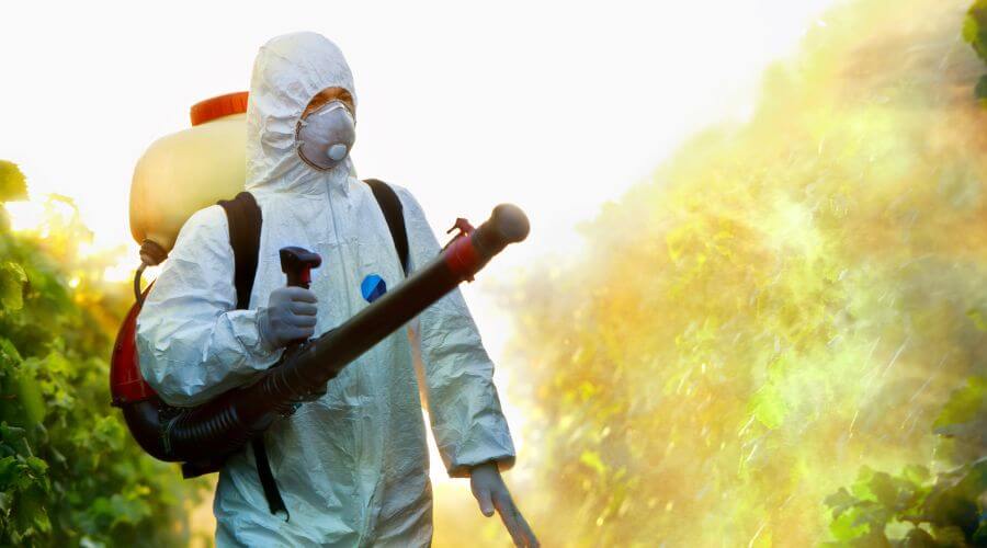 Professional bed bug inspection services in Gilbert - Bed Bug Inspection Gilbert