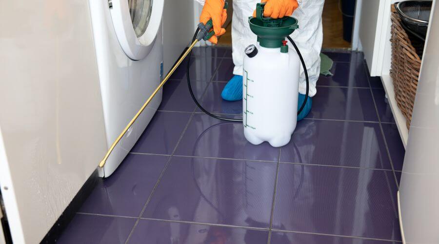 Why choose Bed Bug Inspection Gilbert for bed bug inspection in Gilbert
